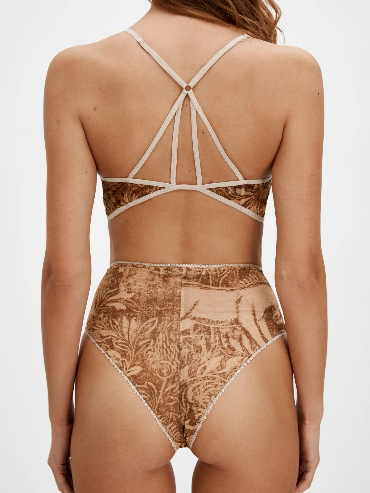 Briefs Golden Ride