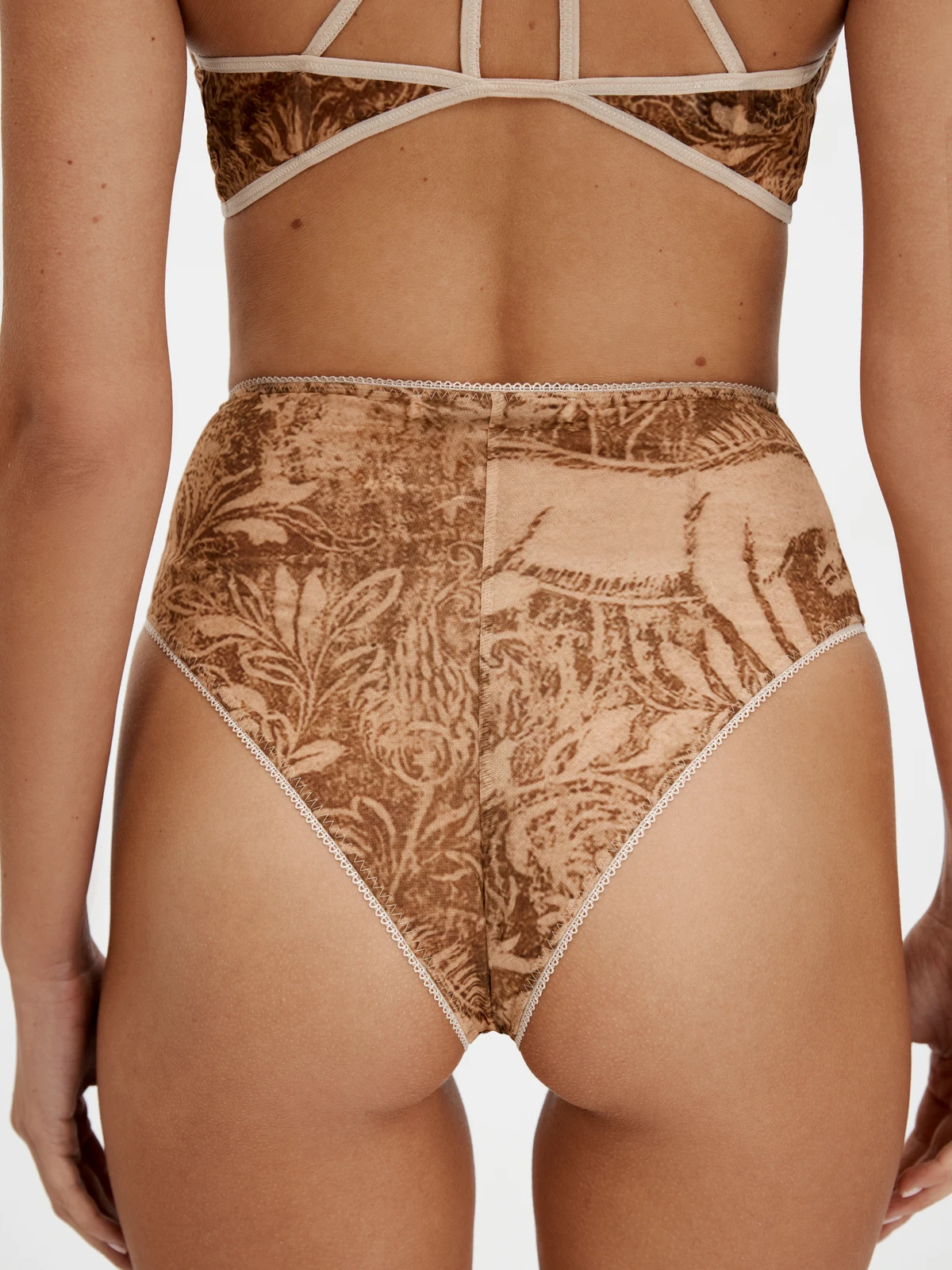 Briefs Golden Ride – 5